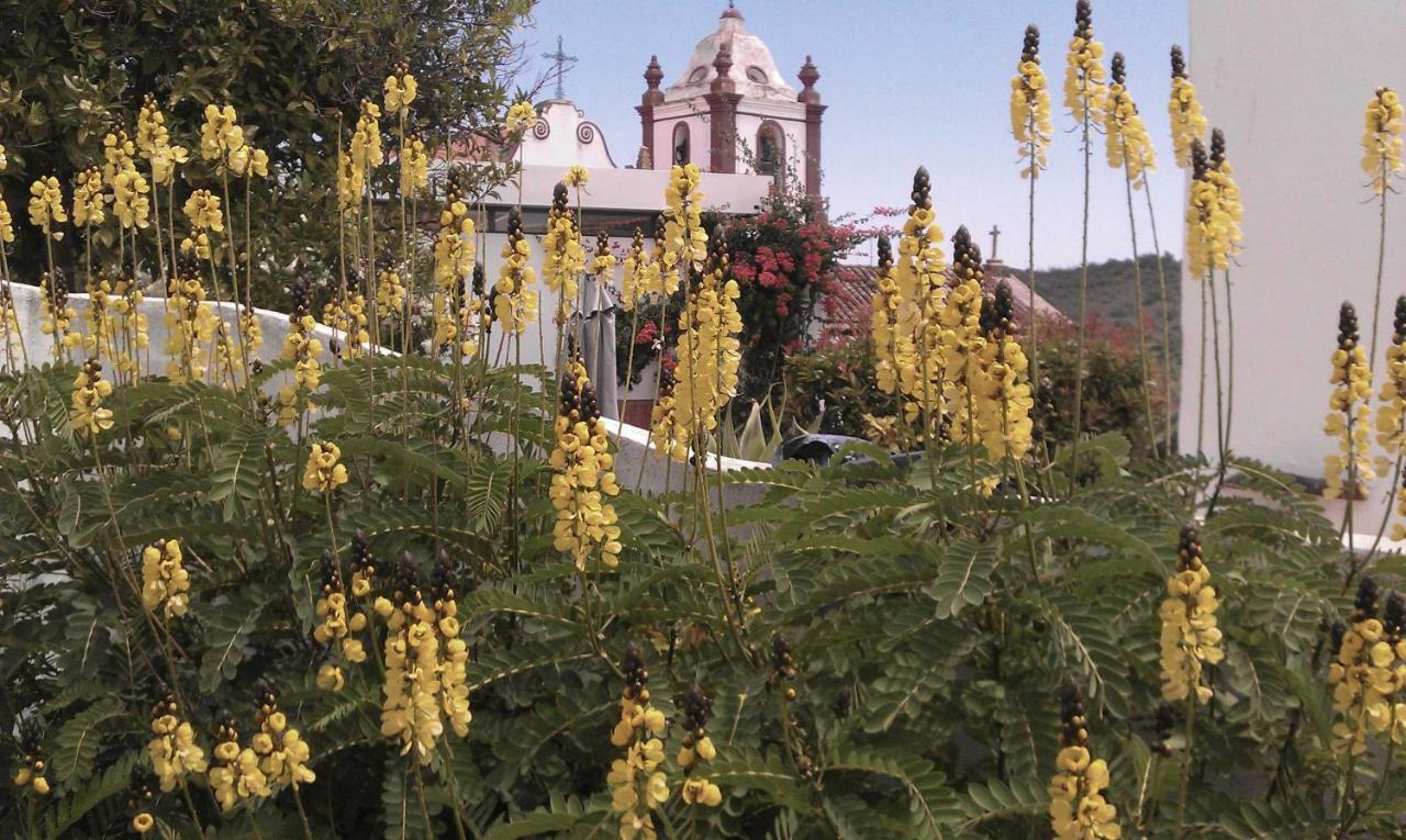 فيلا Quintal Do Castelo سيلفيس المظهر الخارجي الصورة